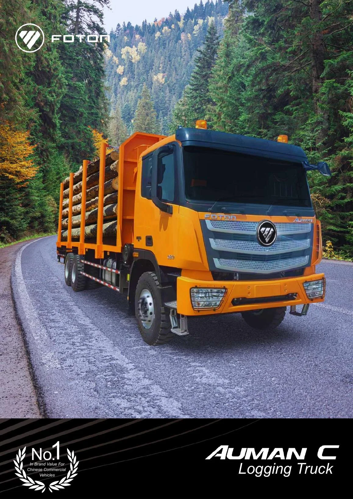 Brosur kategori Logging Truck